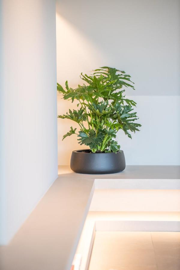 The Penthouse Nami, Branding, Ultra Luxurious Japanese Design Sea View Apartment Cadzand Bagian luar foto
